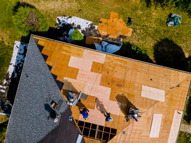 Best Roof Gutter Cleaning  in Stanton, KY